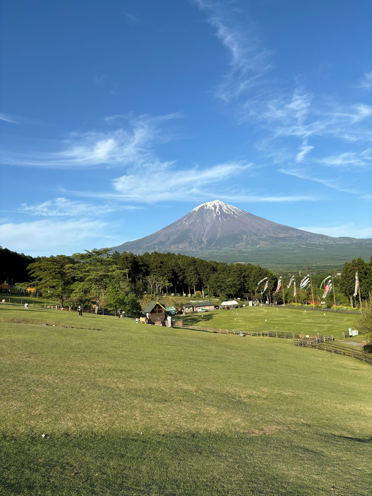 青空の下の富士山と、ふもとの草原