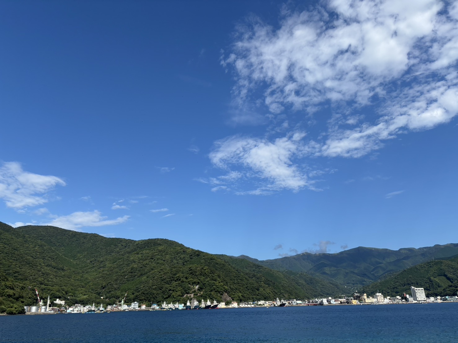 青い入り江のむこうに、戸田の町と緑の山がならぶ