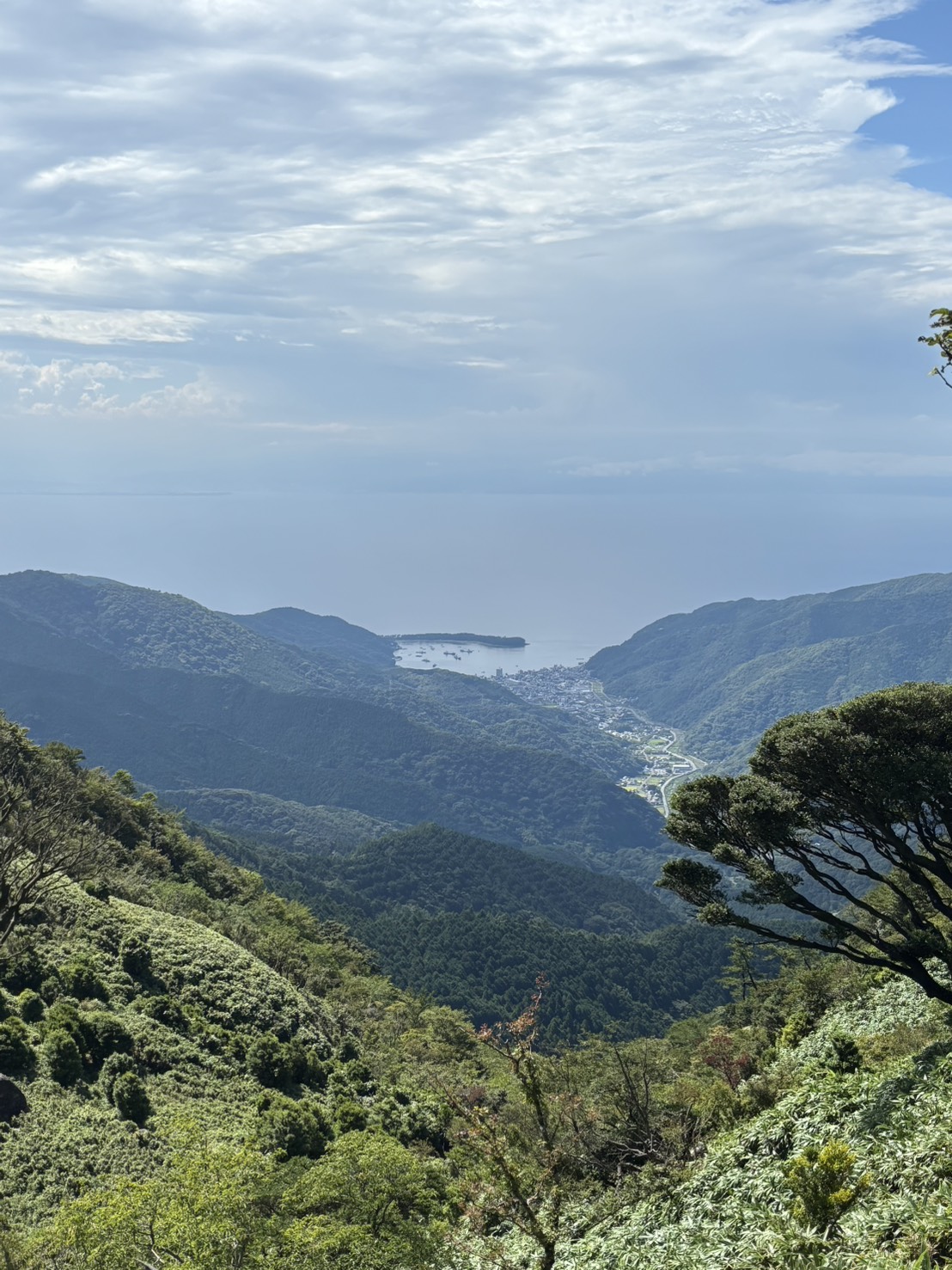 山の上から、谷の先にある戸田の町と港を見下ろした景色