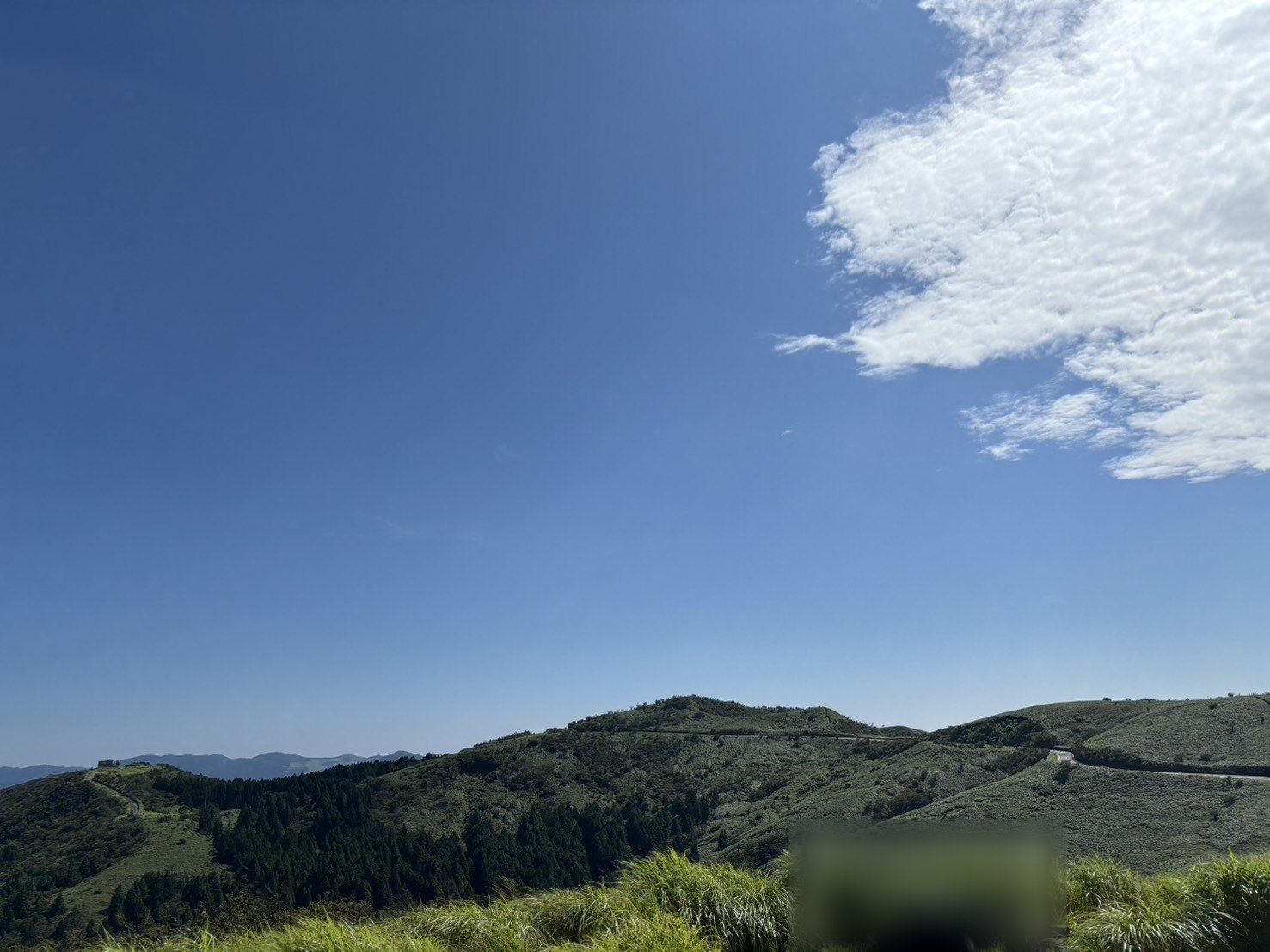 西伊豆の山の上に広がる、笹の草原と青空