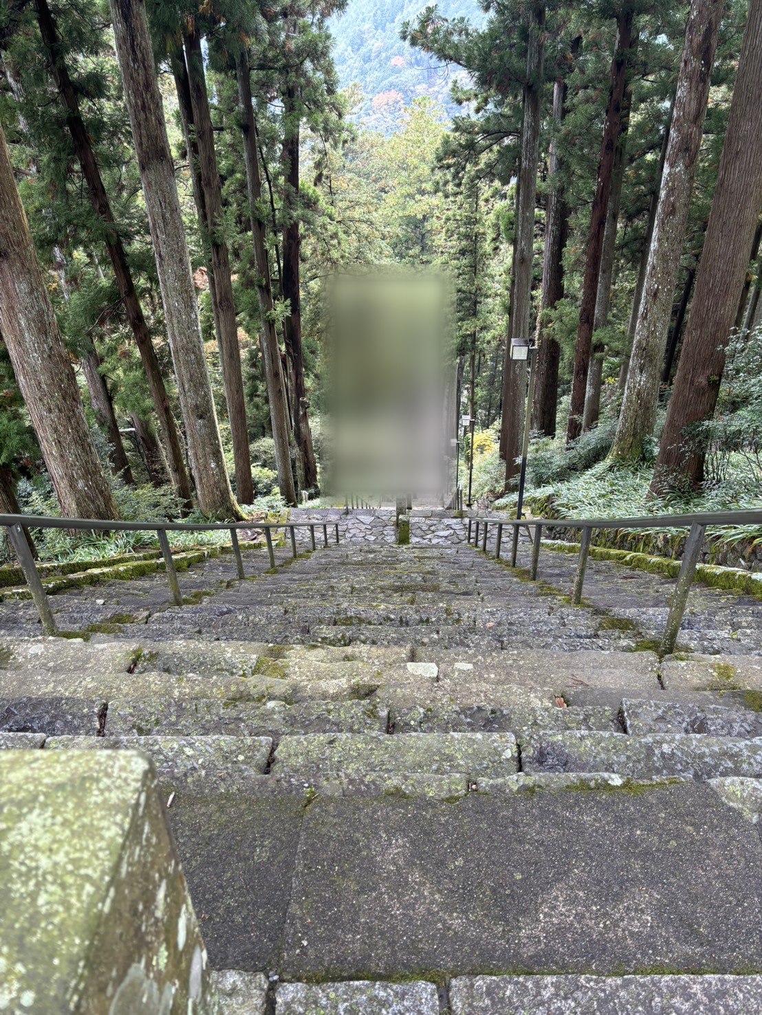 杉の木のあいだを、まっすぐ下っていく急な石段