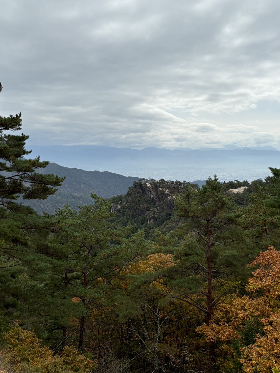 山の上から見た、ごつごつした岩山と、紅葉の森、遠くの甲府盆地