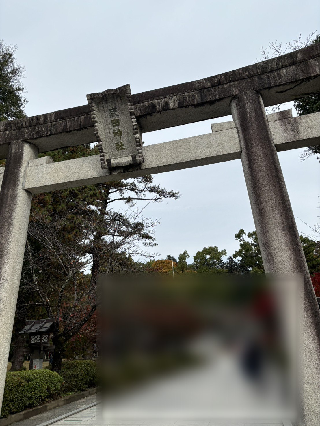 「武田神社」の額がかかった石の鳥居と、紅葉の参道