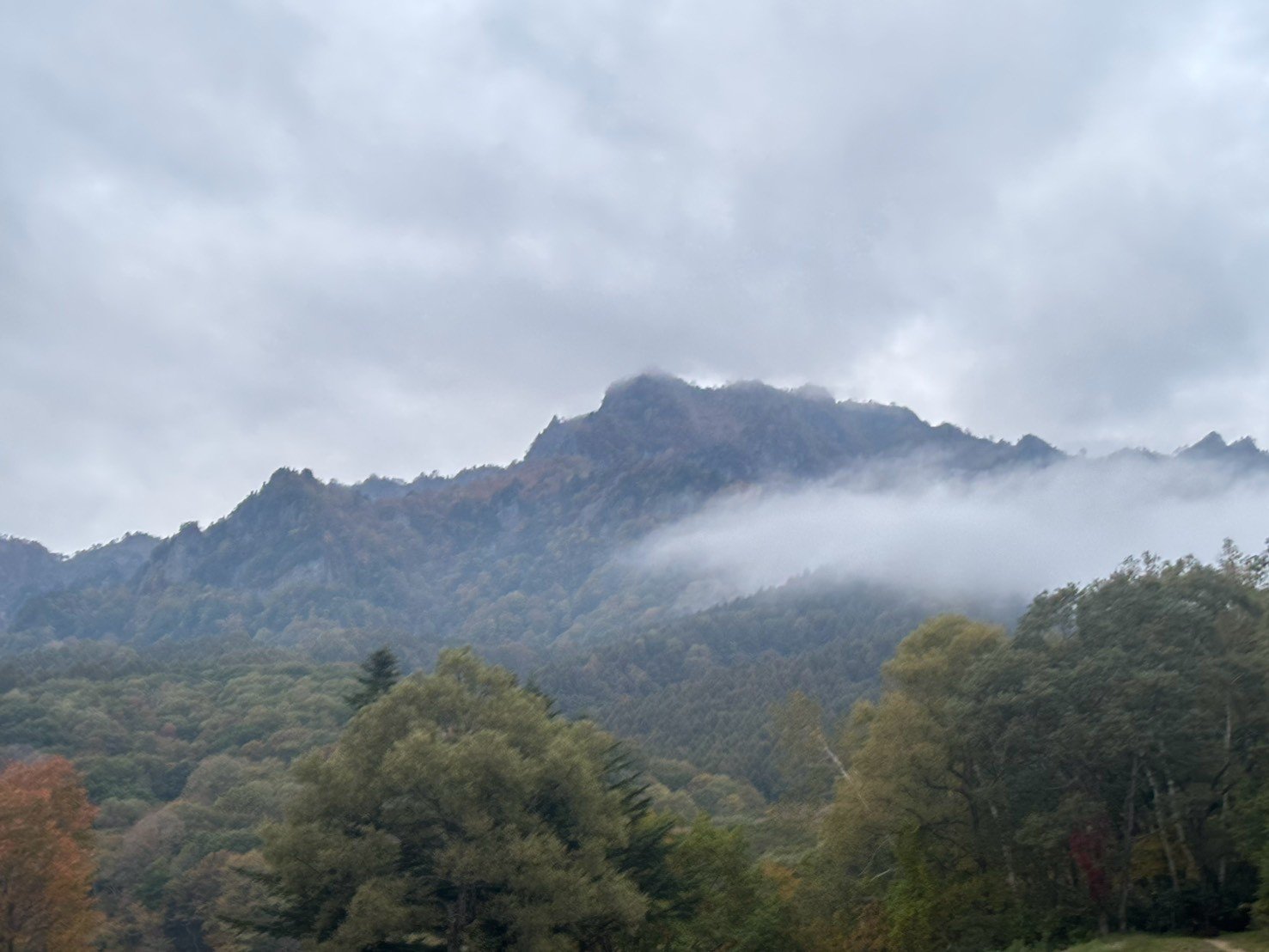 戸隠の山の中ほどを、白い霧が流れていく
