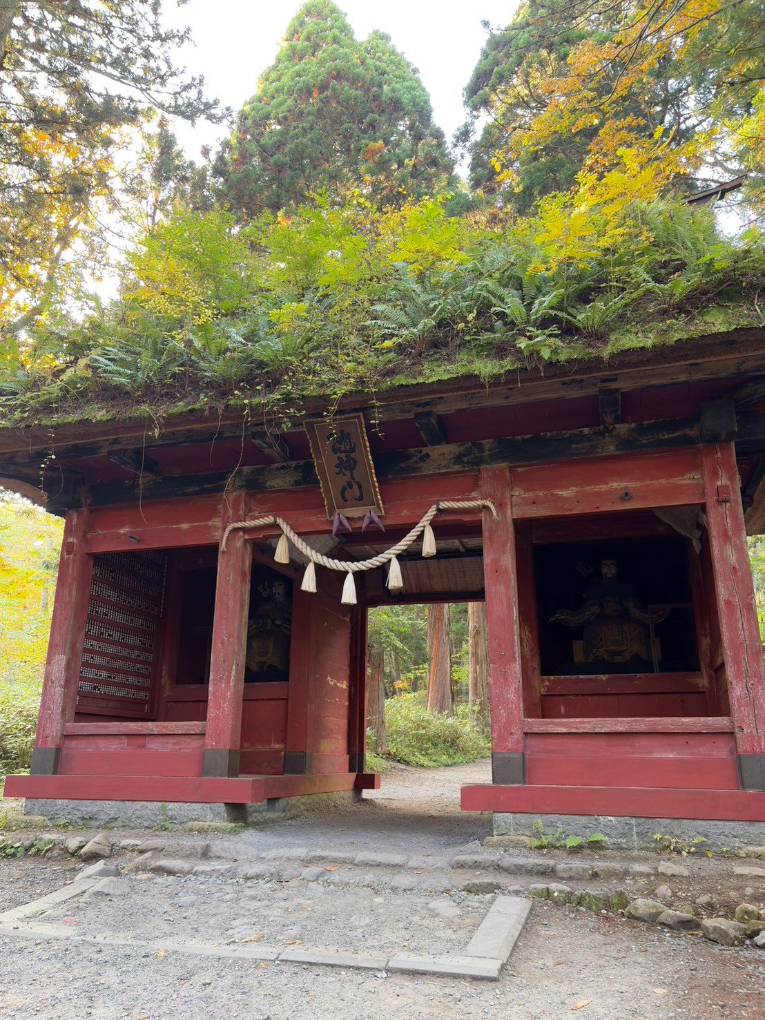 戸隠神社奥社の参道にある、朱色の随神門。屋根いっぱいにシダが生えている